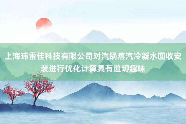 上海玮雷佳科技有限公司对汽锅蒸汽冷凝水回收安装进行优化计算具有迫切趣味