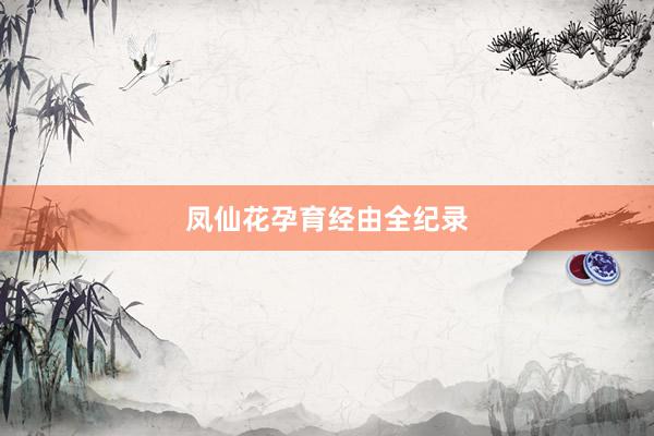 凤仙花孕育经由全纪录