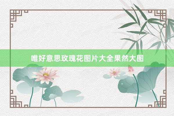 唯好意思玫瑰花图片大全果然大图