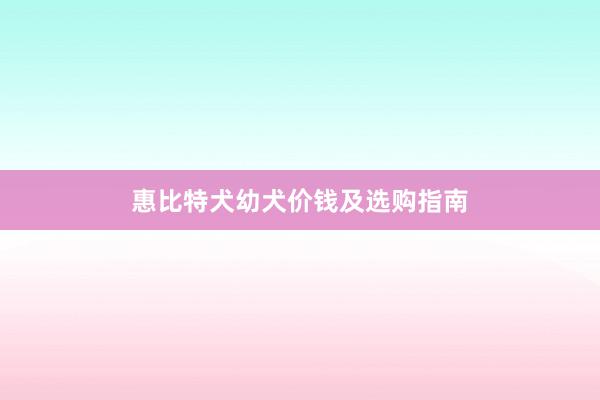 惠比特犬幼犬价钱及选购指南