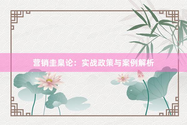 营销圭臬论：实战政策与案例解析